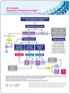 Example axSpA Diagnostic Pathway Thumbnail