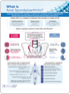 Infographic – What Is Axial Spondyloarthritis Thumbnail