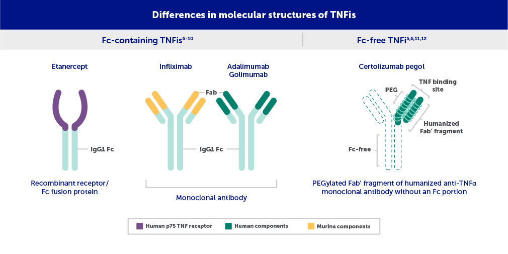 Differences in TNFis may impact treatment outcomes in RA patients with high RF